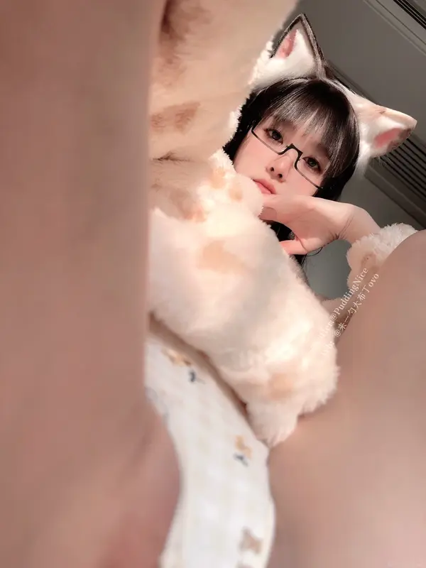 芝士猫 - 布丁大法